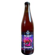 Piwo Bezalkoholowe Motobanda Fruit Sour Ale 