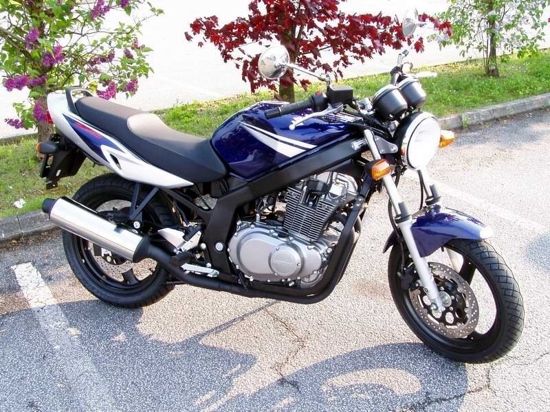 Suzuki Gs 500 (1989 - 2007)