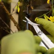 Multitool Leatherman Wave Plus Stal nierdzewna
