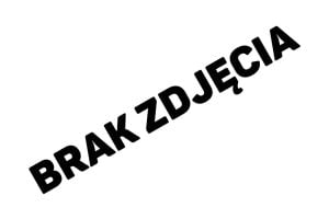 Wnętrze kasku